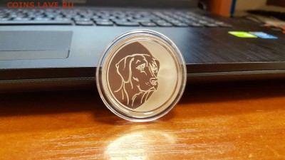 3 рубля 2006 г. год собаки до 5.05 - 20160421_094456