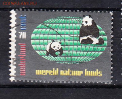 Голландия панды - 86