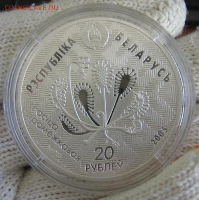 Беларусь, 20 рублей Альманские болота, Сова 05.05 22.00 - 2