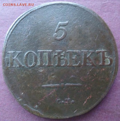 5 копеек 1831г СМ - 1461845952-eb6e75f622f5027ad478a8090f98c4a9