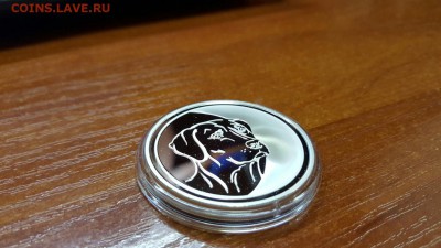3 рубля 2006 г. год собаки до 5.05 - 20160430_100059