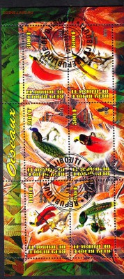 Джибути 2013 птицы - 111