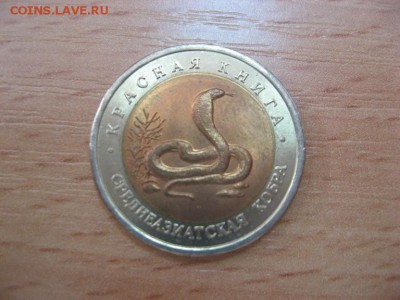 Красная книга. среднеазиатская кобра №1. 1992г. до 7. 05. - IMG_8360.JPG