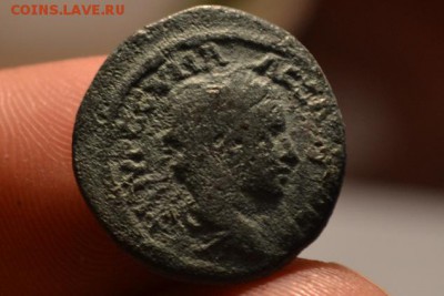 :Рим.Александр Север 222-235 - CSC_0771.JPG