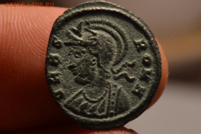 Рим.Капитолийская Волчица кормящая Ромула и Рема. - CSC_0766.JPG