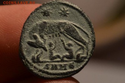 Рим.Капитолийская Волчица кормящая Ромула и Рема. - CSC_0767.JPG