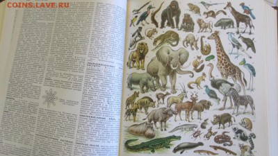 Большая Советская энциклопедия 1970г(30 томов+ежегодник) - IMG_3305.JPG