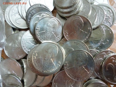 Фикс! 2р. Кожина (мешковые) - P1040409.JPG