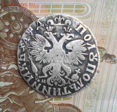 Полуполтинник 1704 МД до 22.00 02.05. - полпол на сотке2