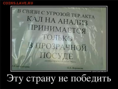 юмор - bb9a55cee786