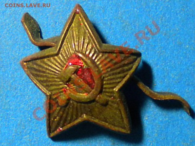Звёздочка. Оценить. - RSCN2383