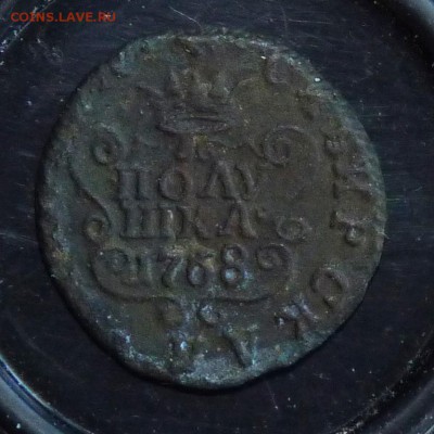 1768 полушка сибирка. до 5.05 - P1130835.JPG