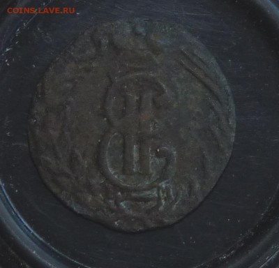 1768 полушка сибирка. до 5.05 - P1130836.JPG
