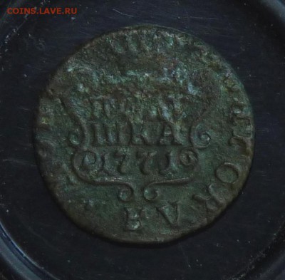 1771 полушка сибирка. до 5.05 - P1130837.JPG