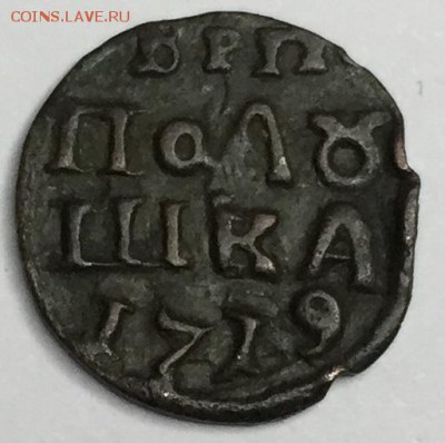 полушка 1719 - полушка1719.JPG