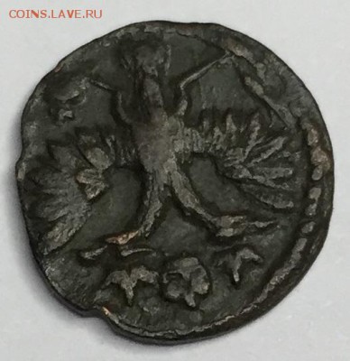 полушка 1719 - полушка1719 (2).JPG