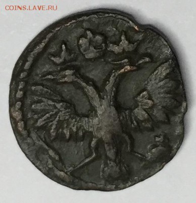 полушка 1719 - полушка1719 (2).JPG