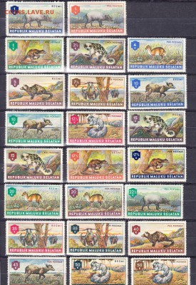 Малуку Селатам фауна 1953г - 22