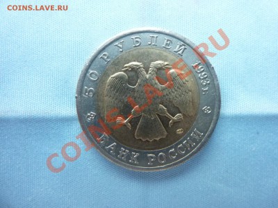 50 рублей-ГИМАЛАЙСКИЙ МЕДВЕДЬ до 12.11.10 в 22-00 - MEMO0077.JPG