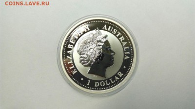 1$ 2003 Австралийская Куккабарра до 10.05 с 200р - VqNghvouNKg