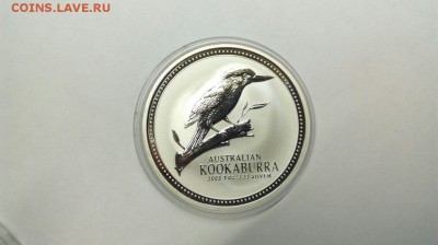 1$ 2003 Австралийская Куккабарра до 10.05 с 200р - Fms7BMRsdyE