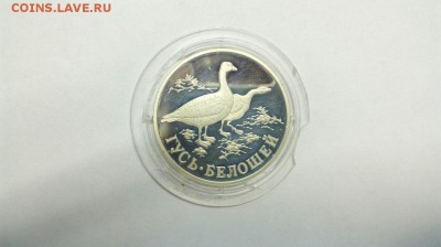 1 рубль 1998г. Гусь Белошей до 10.05 с 200р - dDG0YWbXLsA