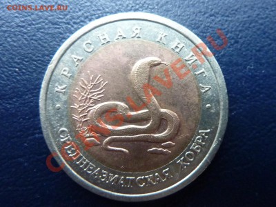 10 рублей Среднеазиатская Кобра  до 12.11.10 в 22-00 - MEMO0025.JPG