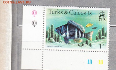 Турк и Кокос рыбки - 155