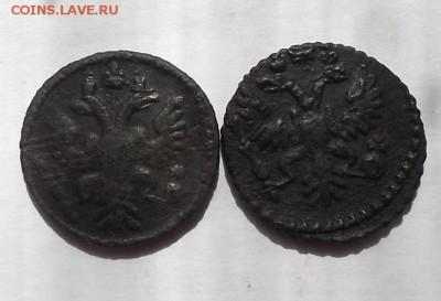 Полушки 1731г и 1734г. - DSCF0695.JPG