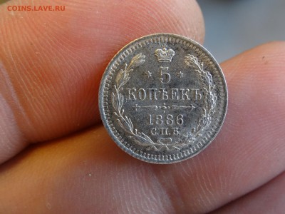 5 копеек 1886 ОТЛИЧНЫЕ!!! до 11.05 до 22.00 - DSC07114-min.JPG