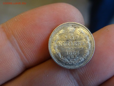 5 копеек 1886 ОТЛИЧНЫЕ!!! до 11.05 до 22.00 - DSC07115-min.JPG