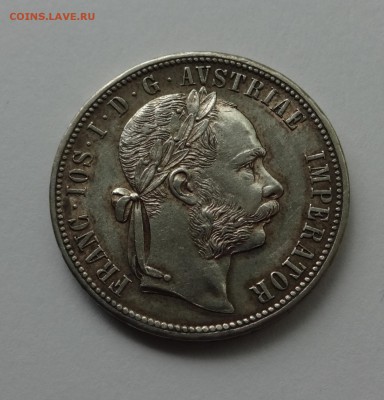 флорин 1879 до 11.05(блиц-бонус) - франц1