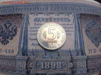 5 рублей Филин красная книга раскол - _0DQN-PB47s