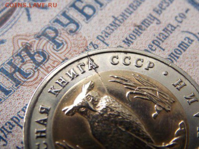 5 рублей Филин красная книга раскол - FE_j4kQDSps (1)