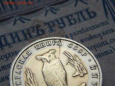 5 рублей Филин красная книга раскол - U9Df15nmGX4