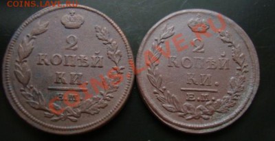 20г ЕМ НМ----------до 09.11.10г - DSC04912.JPG