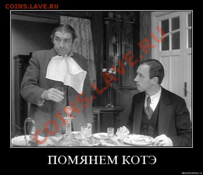 юмор - котэ