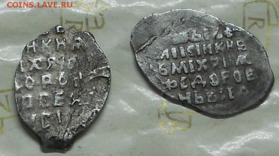 чешуйки - подскажите специалисты. - DSCN0045.JPG