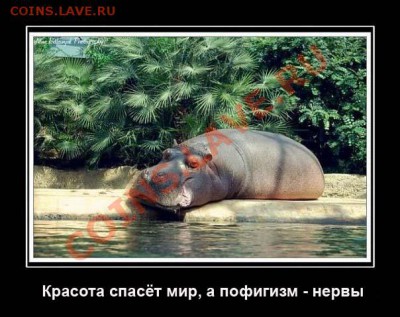 юмор - 21