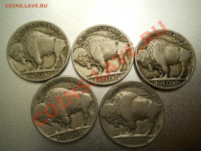 Оценка Buffalo 5 центов, 12 штук. 20 - 30 ые годы - DSCN0542 Буффало 1919-1930_2.JPG