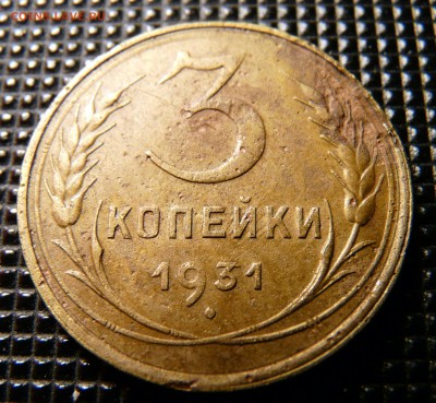 Скол - P1120925.JPG