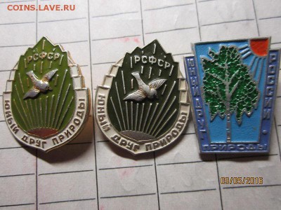 Юный друг природы до 12.05 - IMG_0913.JPG