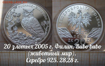 Польша, 20злотых 2005г. Филин, Серебро. До 12.05.16г в 22:00 - ау