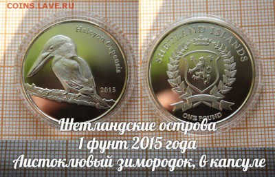 Шетландские ос-ва 1 фунт 2015г Аистоклювый зимородок - ау