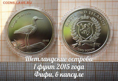Шетландские острова 1 фунт 2015г Фифи - ау