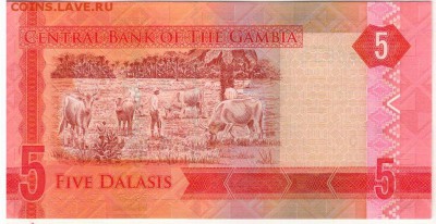 Гамбия 5 даласи 2015 до 16.05.16 в 22.00мск (Б731) - 1-1гам5д2015