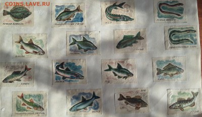 С 1 РУБЛЯ - спичечные этикетки (около 9ООшт.) до 15.05 - 20160510_173927