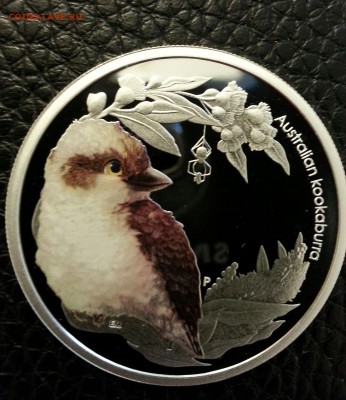 50 центов "Австралийский кокобара" 2012 Аg Австралия - 20160510_144521~2