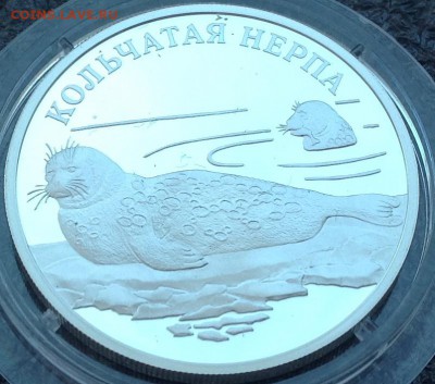 Кольчатая нерпа 1 рубль 2007 год - image