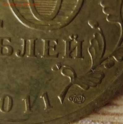 10р 2011 г СПМД Белгород Шт. Г по АС ? - IMG_6450.JPG